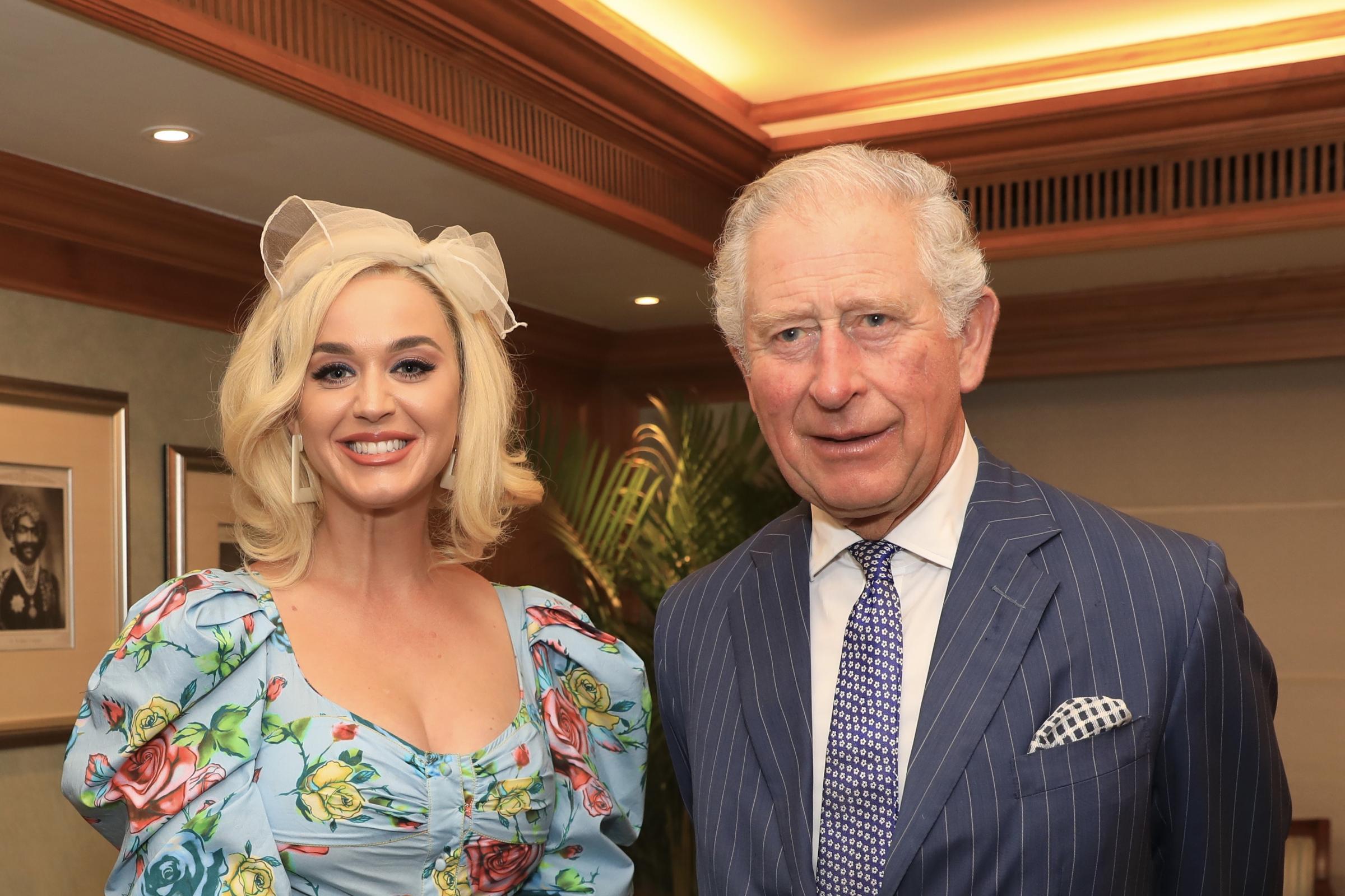 Katy Perry Appointed British Asian Trust Ambassador By Prince Of